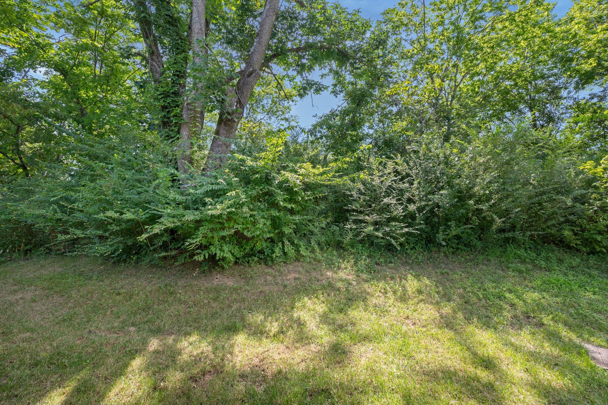 2055 Rylee Way Greenbrier, TN 37073 - Photo 39 of 40 Gallery Image 39