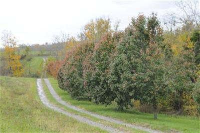 1372 Maupin Road Lancaster, KY 40444 - Photo 42 of 42 Photo 42