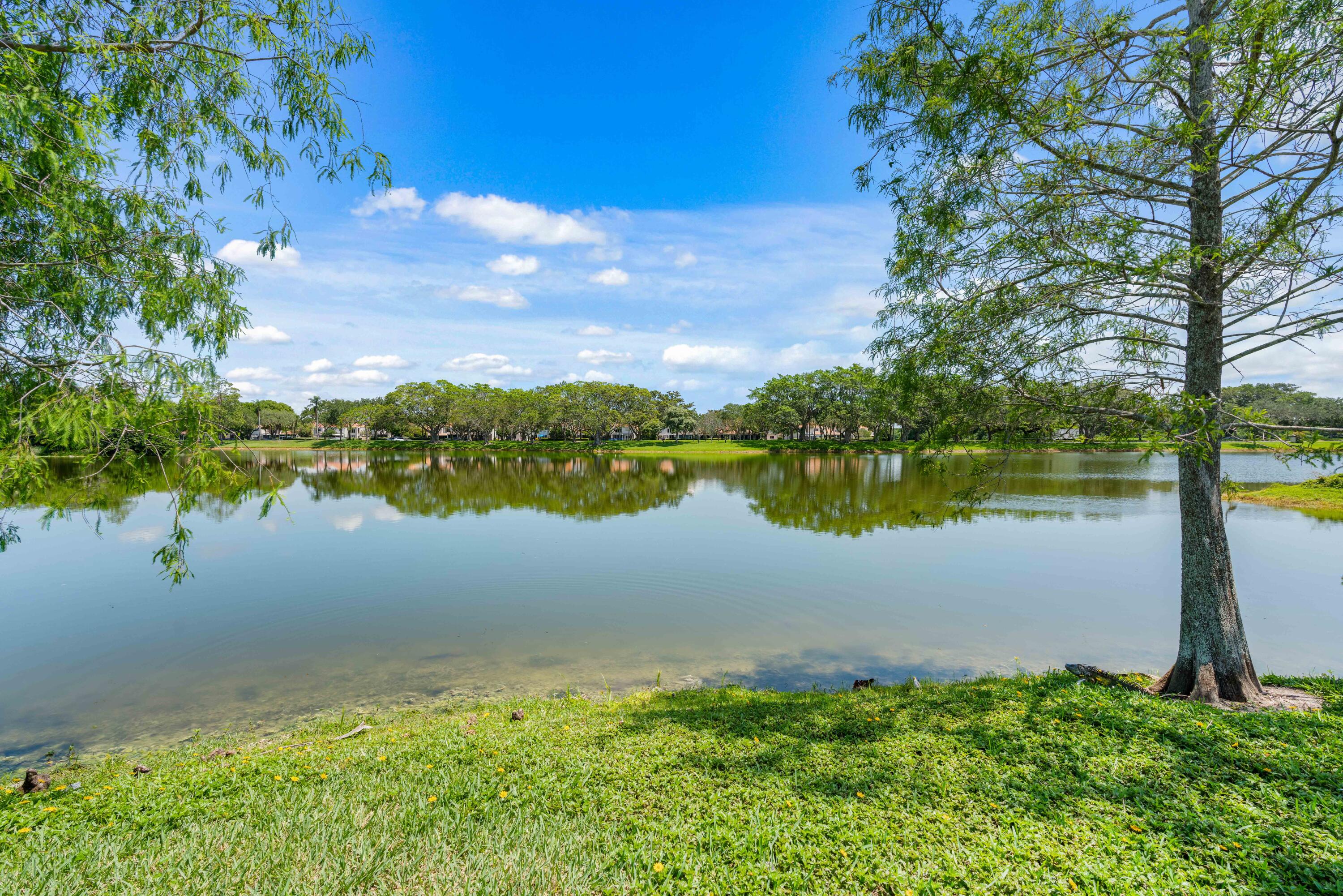 10715 Santa Rosa Drive Boca Raton, FL 33498 - Photo 77 of 101 _MLP5855