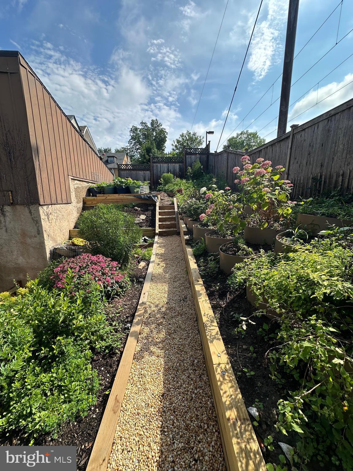 34 Hilltop Road Philadelphia, PA 19118 - Photo 36 of 43 Summer view of garden