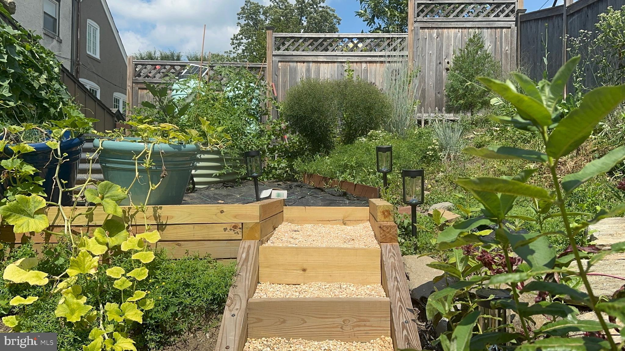 34 Hilltop Road Philadelphia, PA 19118 - Photo 38 of 43 Summer view of Tiered Garden