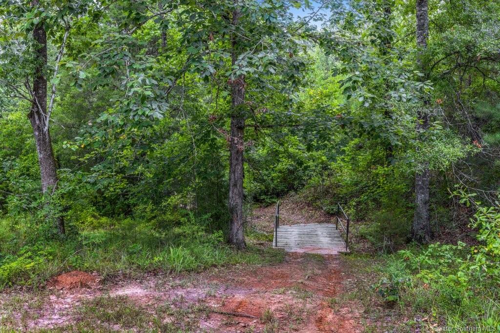 186 Buddy Smith Road Starks, LA 70661 - Photo 47 of 56
