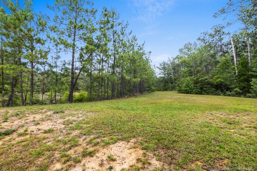 186 Buddy Smith Road Starks, LA 70661 - Photo 49 of 56