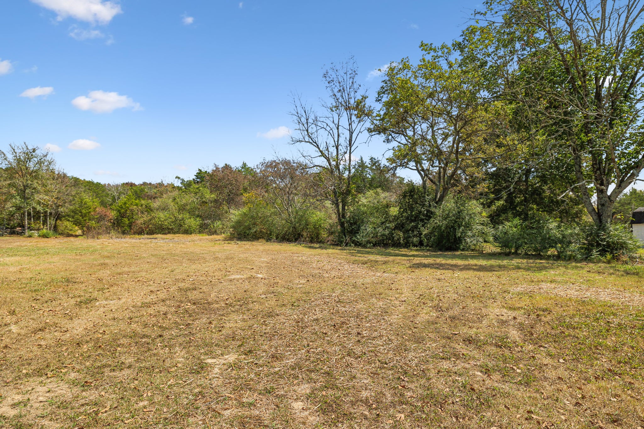 2801 Hunters Point Pike Lebanon, TN 37087 - Photo 3 of 23 a view of open field with trees