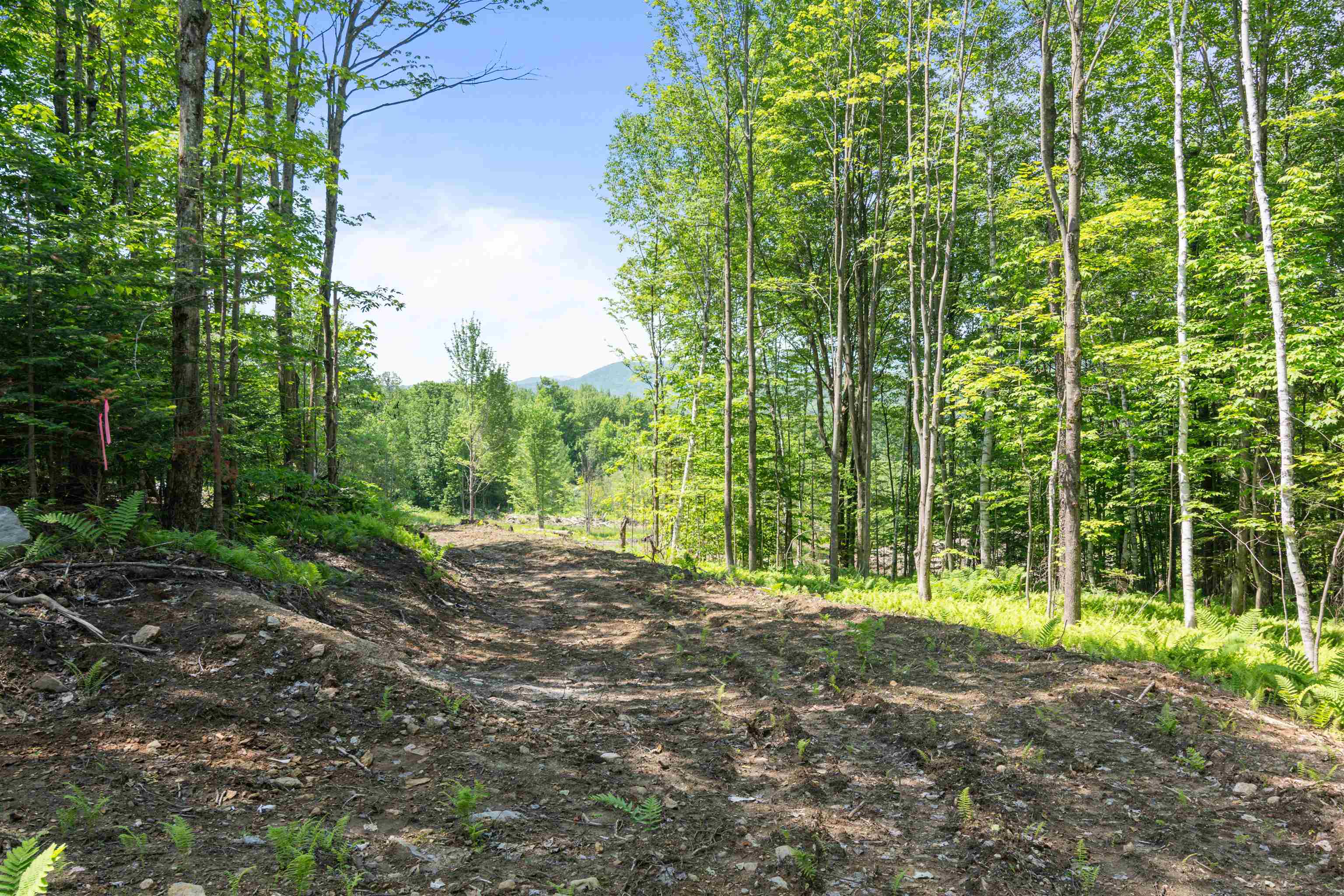 251 White Birch Road Morristown, VT 05661 - Photo 12 of 21