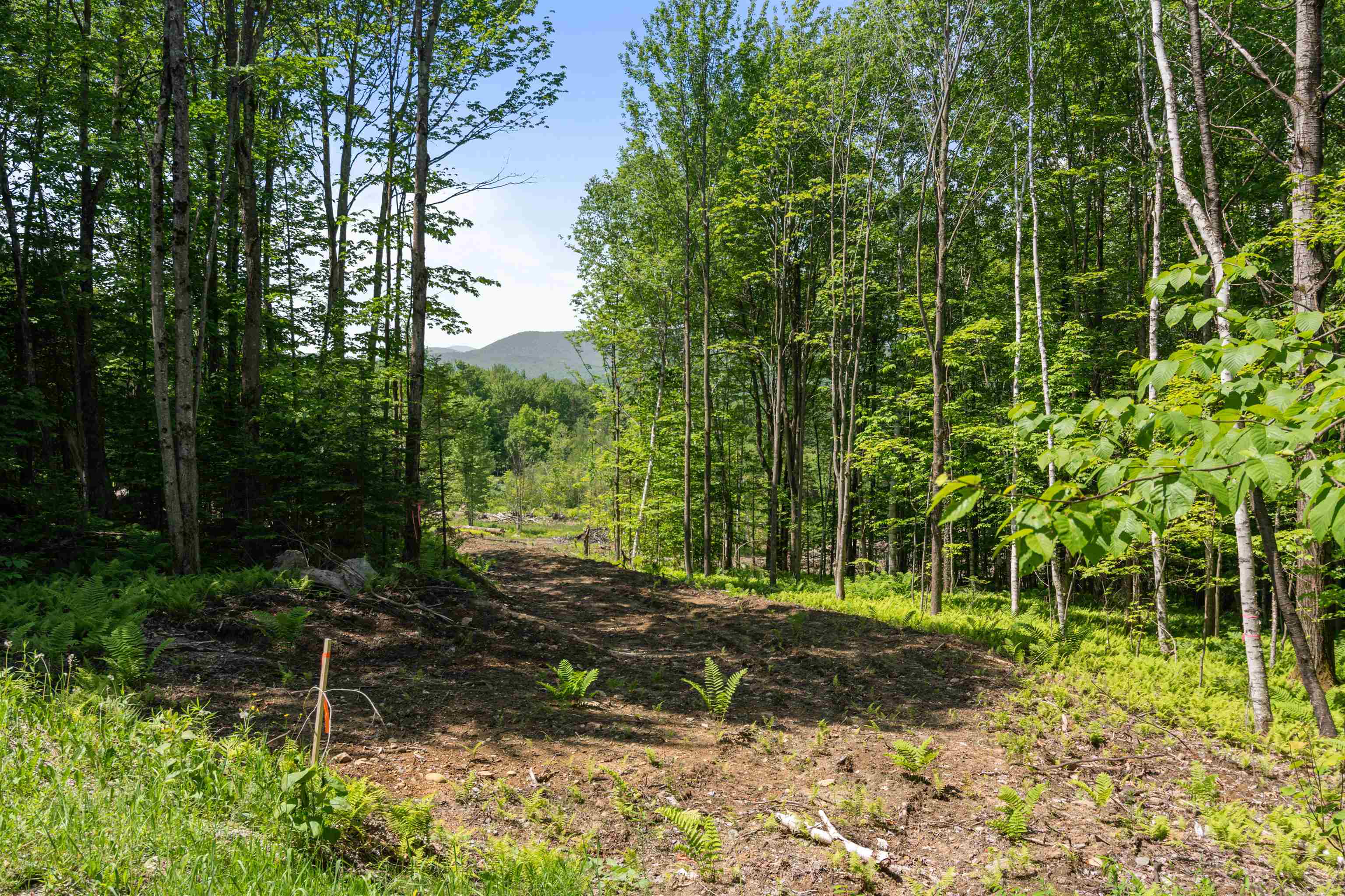 251 White Birch Road Morristown, VT 05661 - Photo 9 of 21