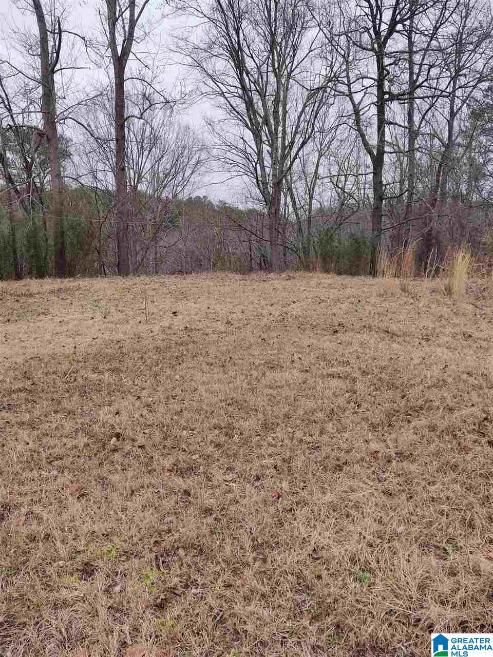 291 Skelton Loop Road Quinton, AL 35130 - Photo 10 of 10