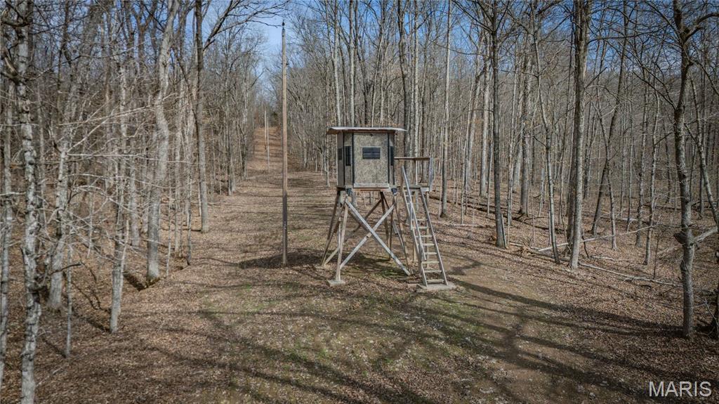 2783 Watson Road Park Hills, MO 63601 - Photo 2 of 9