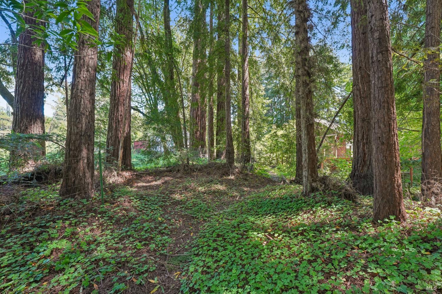 189 Wagnon Road Sebastopol, CA 95472 - Photo 55 of 66