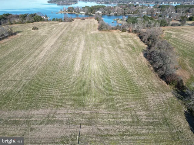 a view of wooden floor