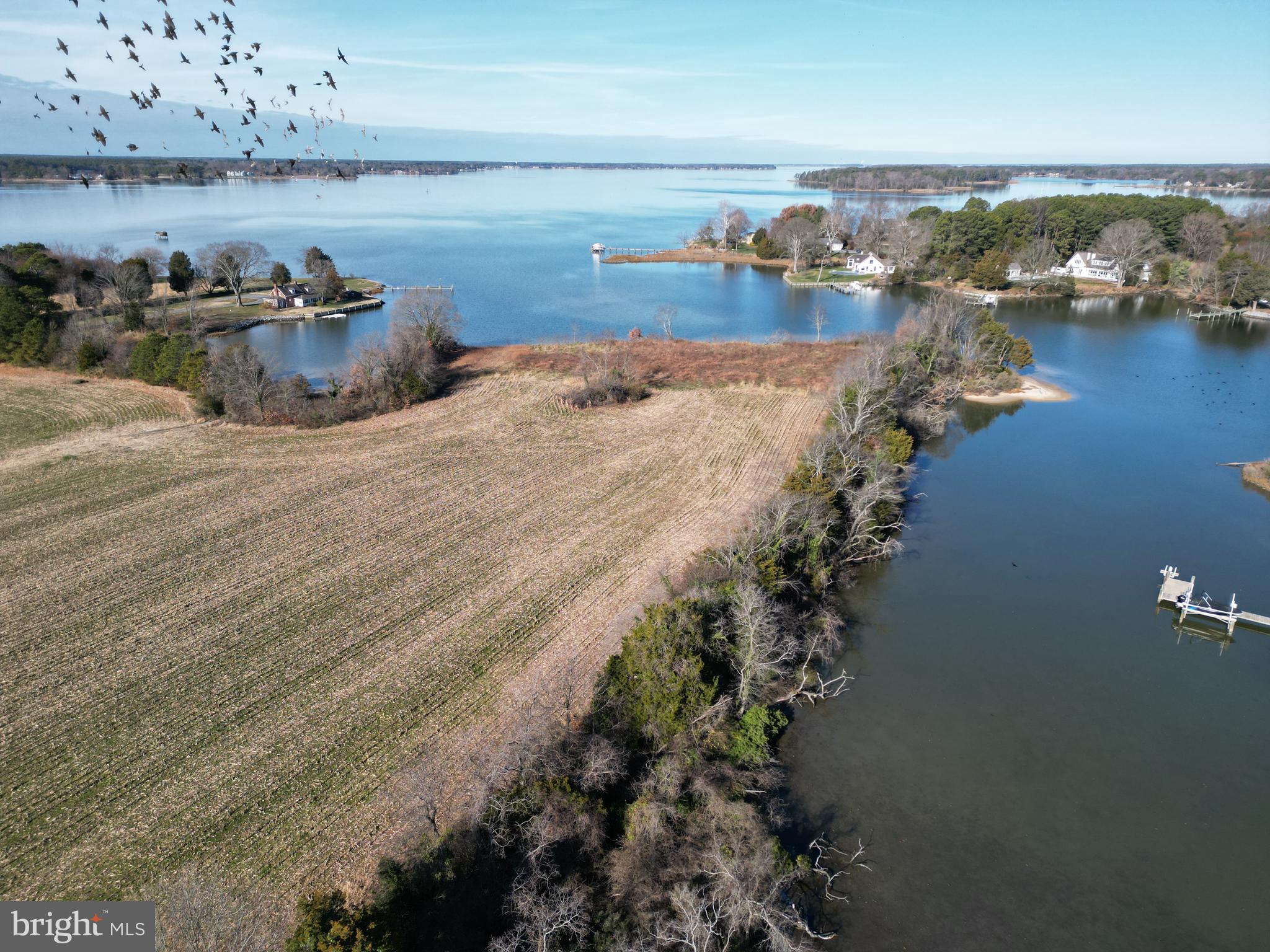 St Michaels Road Easton, MD 21601 - Photo 19 of 27 a view of a lake with houses