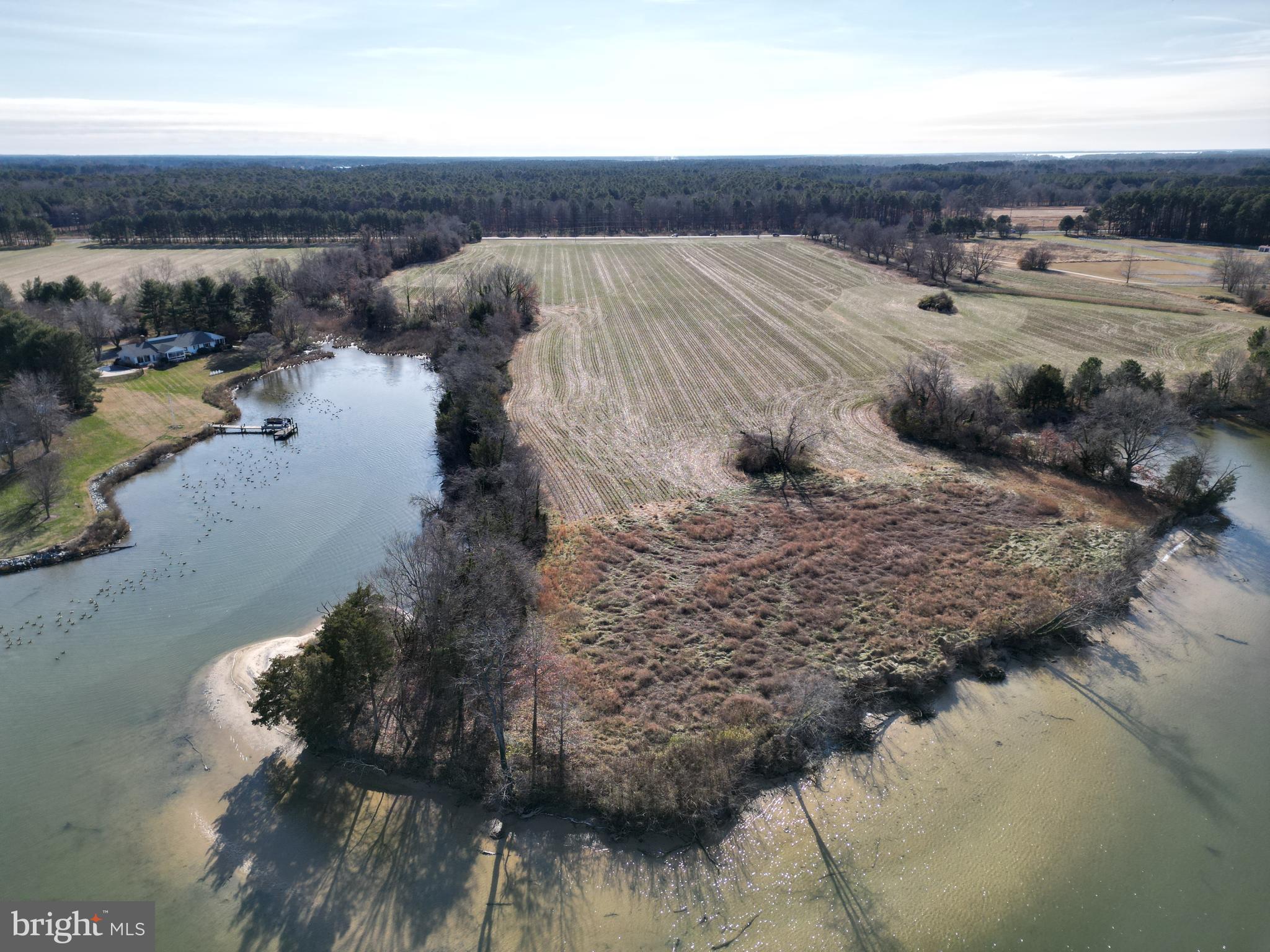 St Michaels Road Easton, MD 21601 - Photo 24 of 27 a view of a lake in middle of the road