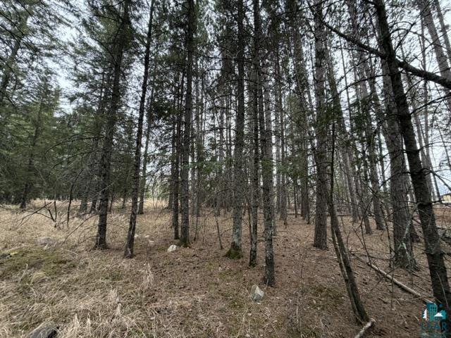 Tbd 5th Street Southeast Cook, MN 55723 - Photo 8 of 13