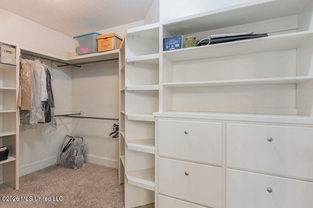 102 Hickory Hills Drive Clinton, MS 39056 - Photo 36 of 64 36-PrimaryCloset