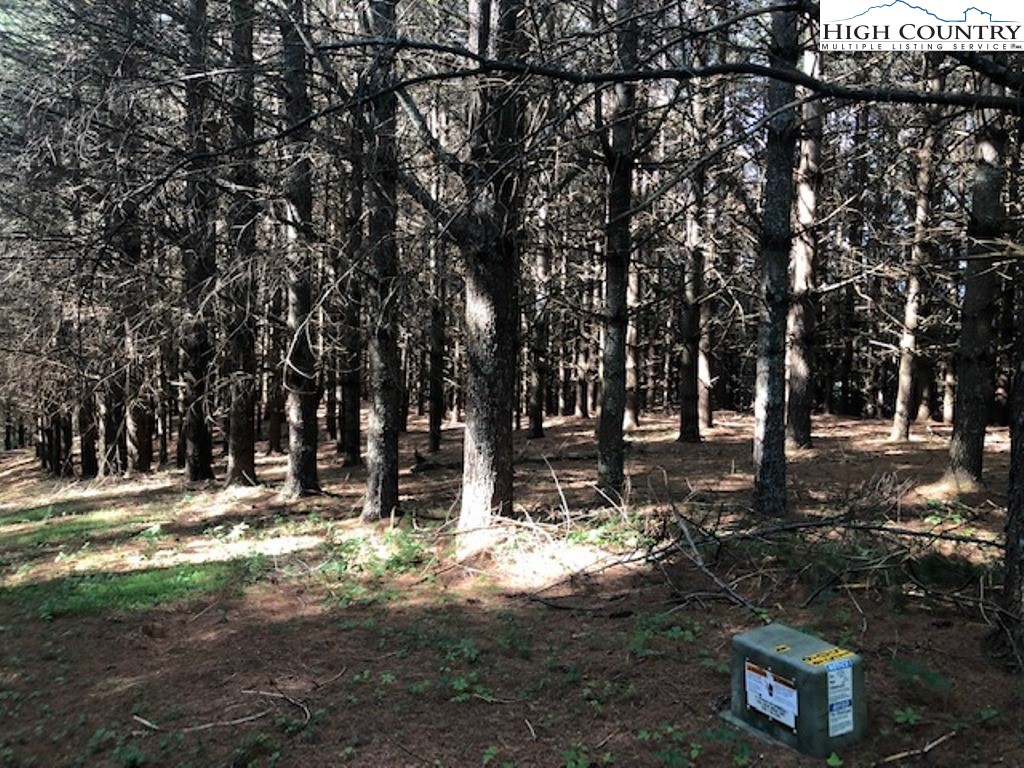 Lot 100-102 Tielcroft Roads Crumpler, NC 28617 - Photo 3 of 9 Gallery Image 3