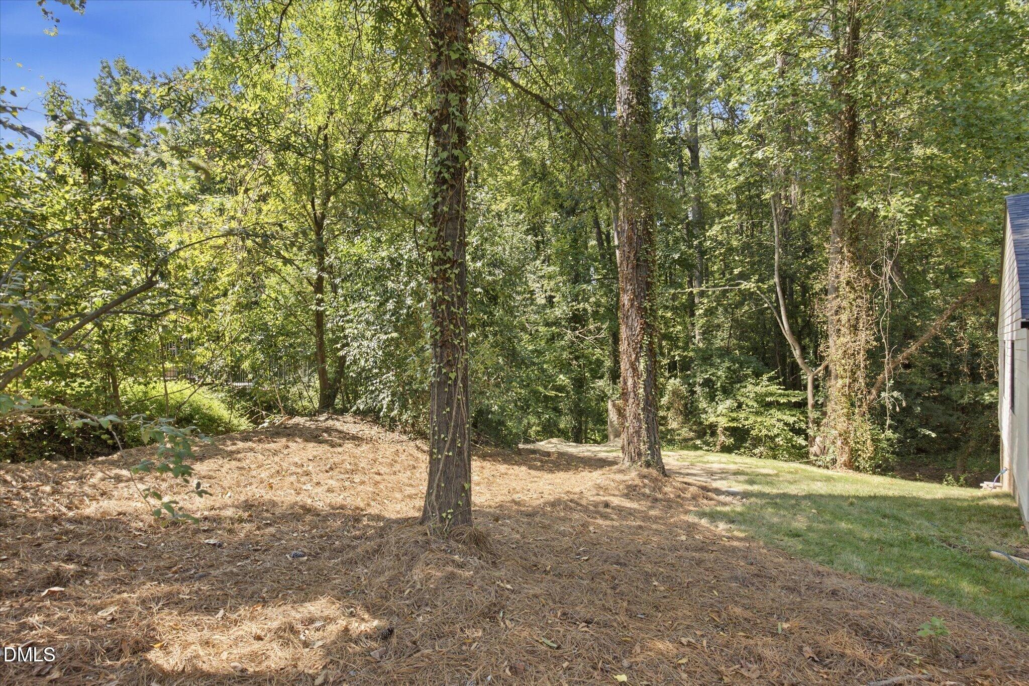 1712 Rosedale Avenue Durham, NC 27707 - Photo 5 of 41 13-1712_Rosedale_Avenue_Durham_003