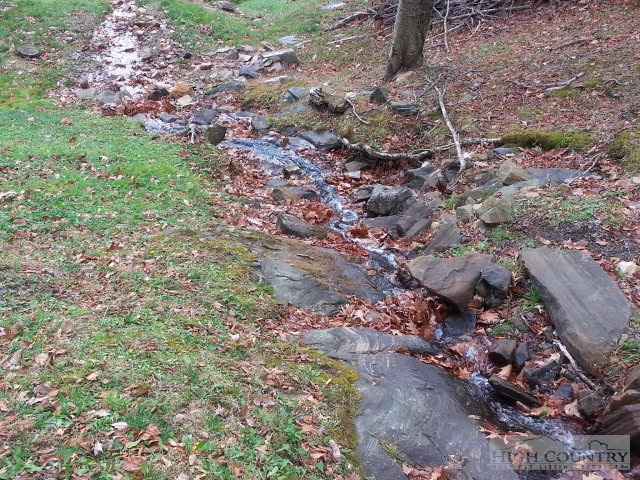 148 Grady Winkler Road Boone, NC 28607 - Photo 15 of 24 a view of a yard with large trees