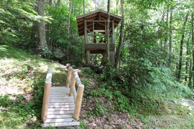 148 Grady Winkler Road Boone, NC 28607 - Photo 16 of 24 a view of outdoor space and yard