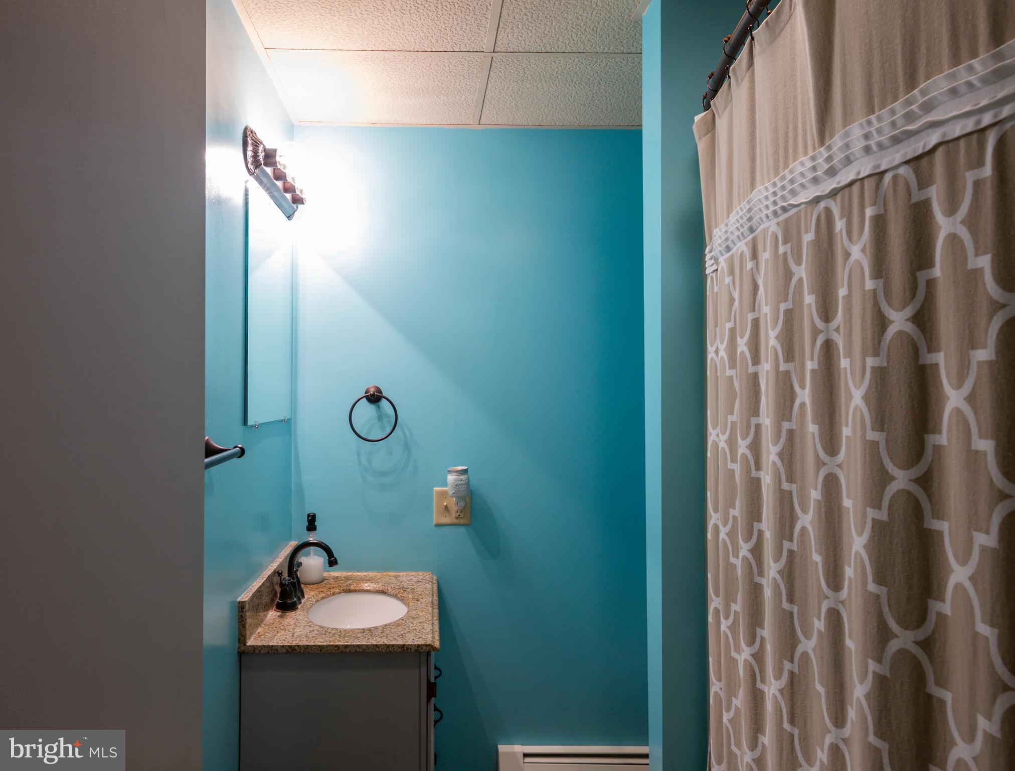 300 Old Fritztown Road Reading, PA 19607 - Photo 24 of 28 a bathroom with a sink toilet and shower