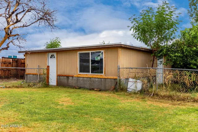 a view of a backyard with potted plants and large tree