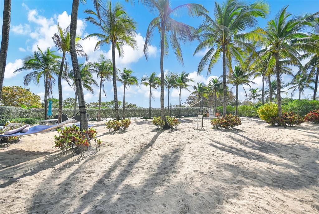 9201 Collins Avenue, Unit 821 Surfside, FL 33154 - Photo 28 of 60 a row of palm trees sitting in a backyard of a house