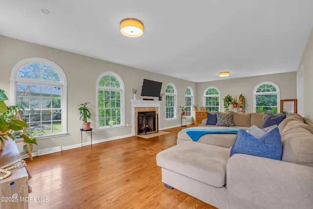a view of a forest with trees in the background