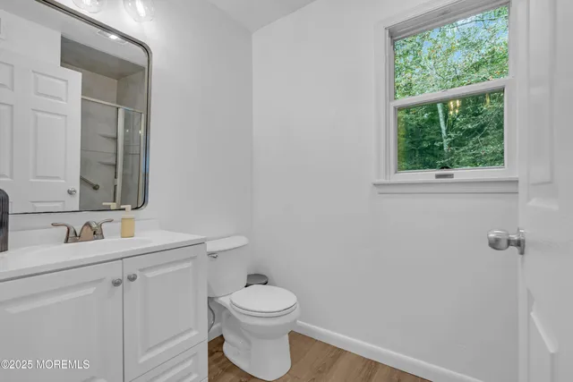 a backyard of a house with plants and large trees