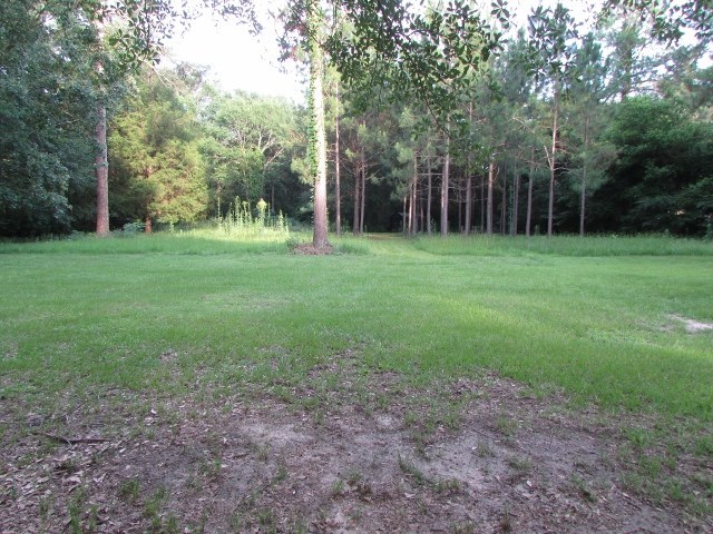 1730 Houston Lake Road Perry, GA 31069 - Photo 3 of 27 a view of a yard with tree s