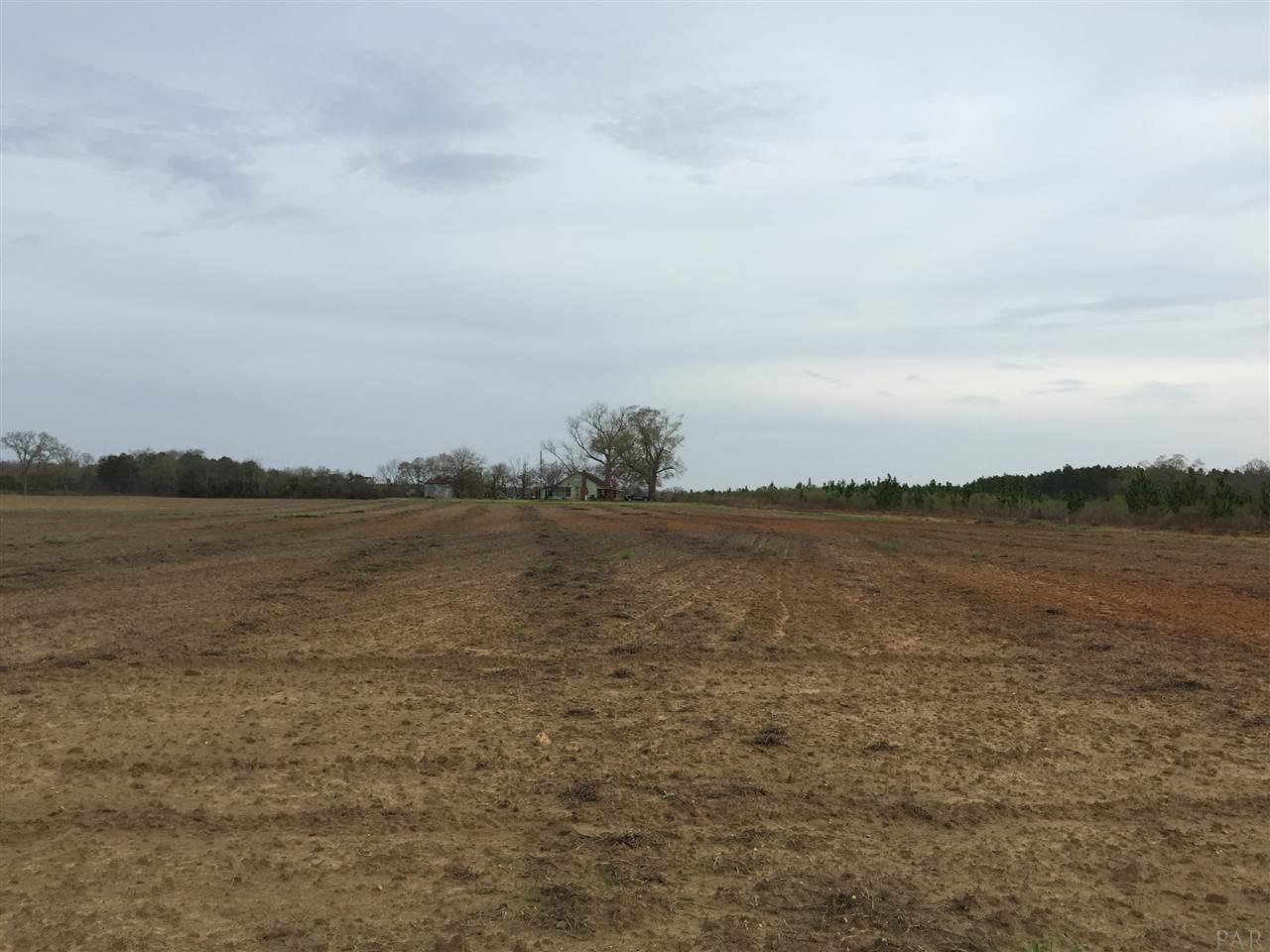 29 County Road Bluffton, GA 39824 - Photo 11 of 18