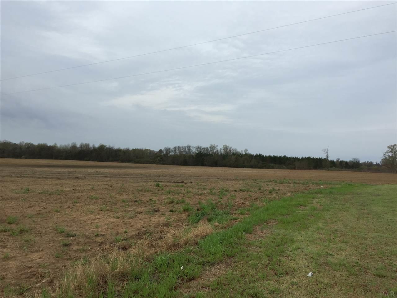 29 County Road Bluffton, GA 39824 - Photo 12 of 18