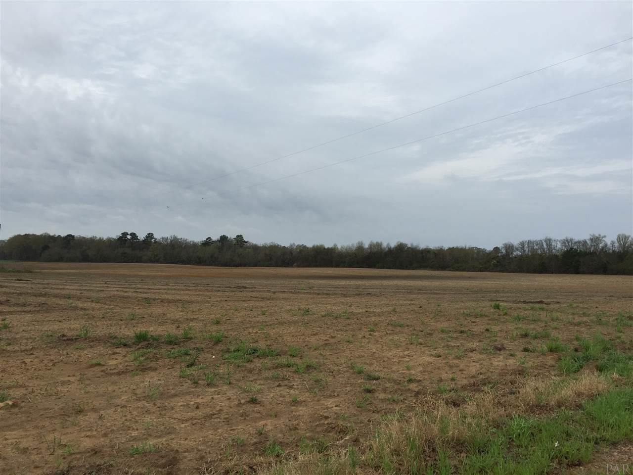 29 County Road Bluffton, GA 39824 - Photo 13 of 18