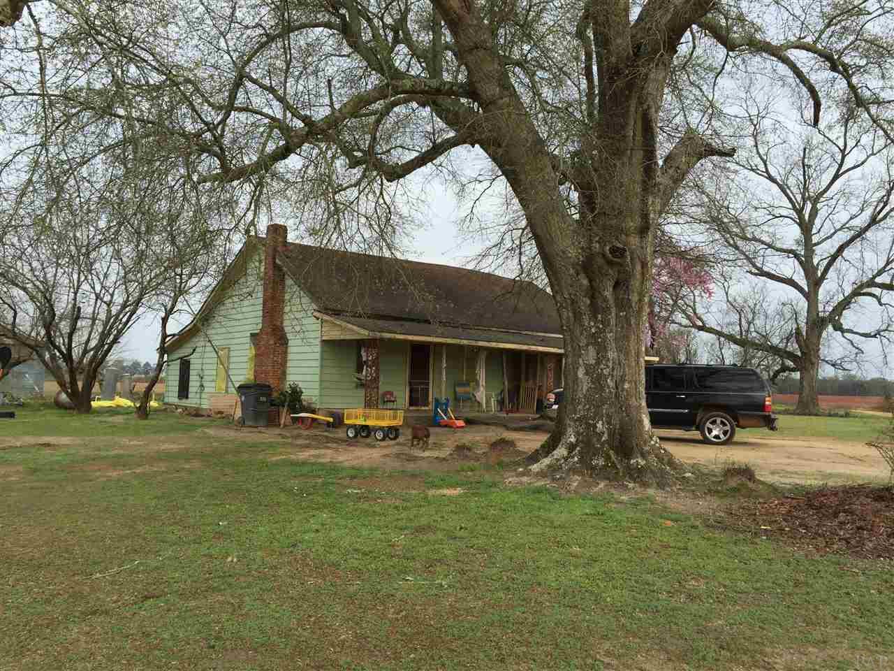 29 County Road Bluffton, GA 39824 - Photo 14 of 18