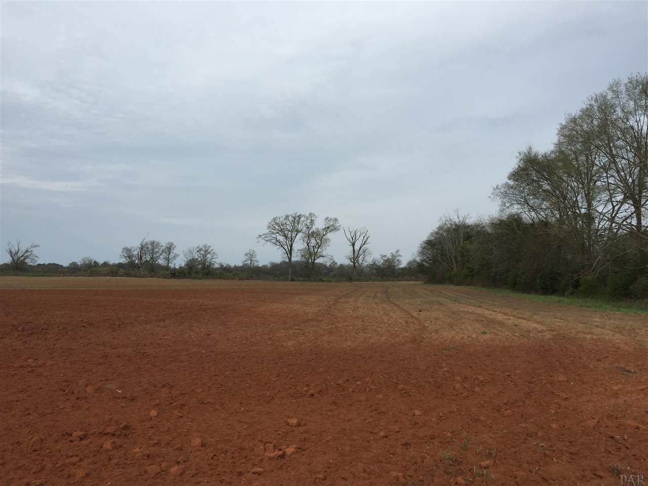 29 County Road Bluffton, GA 39824 - Photo 15 of 18