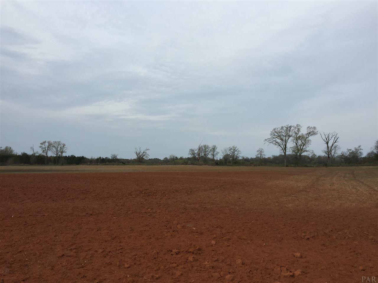 29 County Road Bluffton, GA 39824 - Photo 16 of 18