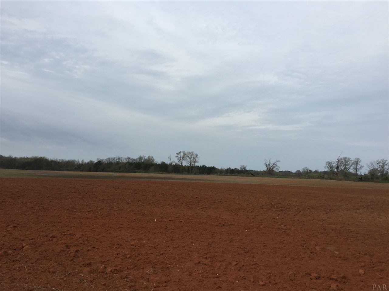 29 County Road Bluffton, GA 39824 - Photo 17 of 18