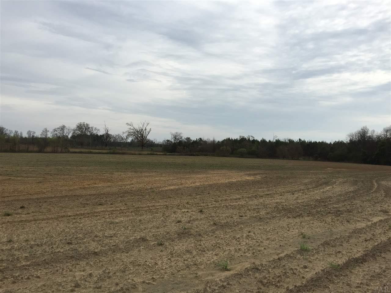 29 County Road Bluffton, GA 39824 - Photo 2 of 18