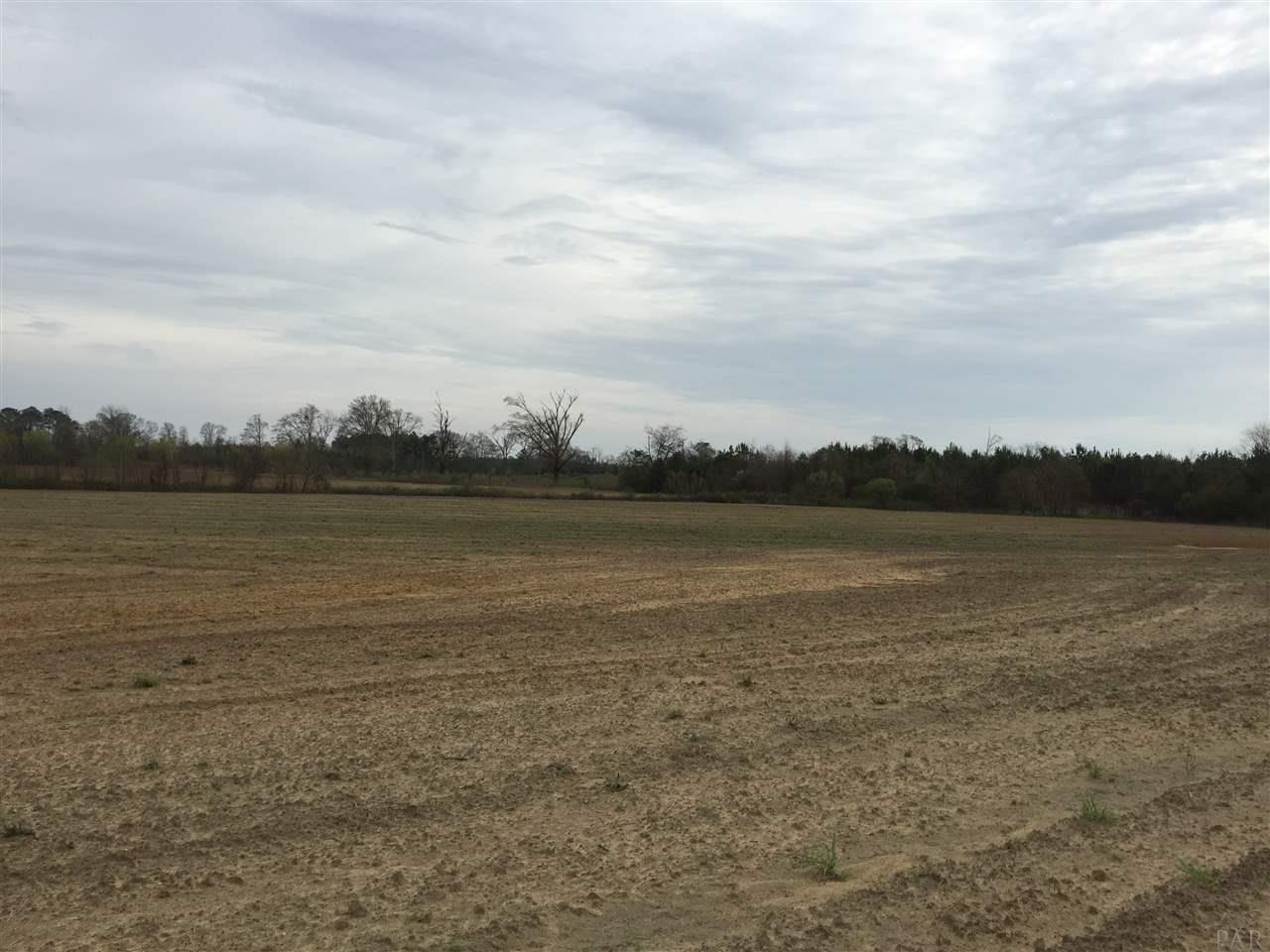 29 County Road Bluffton, GA 39824 - Photo 3 of 18