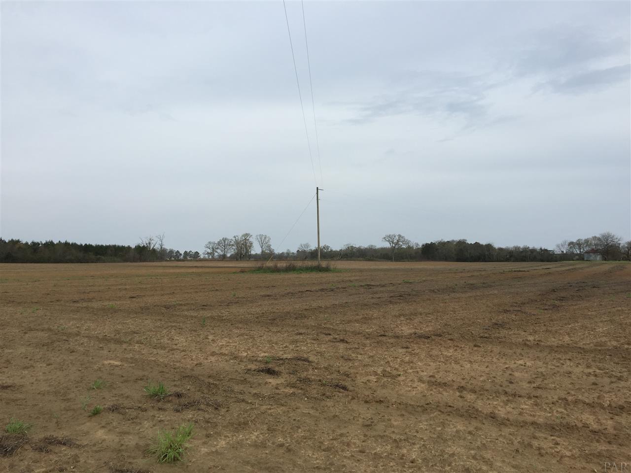 29 County Road Bluffton, GA 39824 - Photo 10 of 18