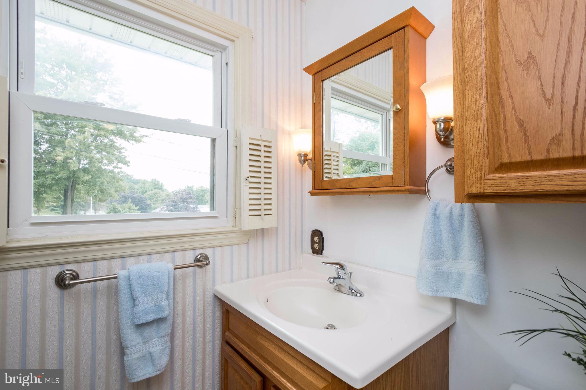 918 Gahle Road Westminster, MD 21157 - Photo 21 of 29 Master Bath (full sized shower not shown)