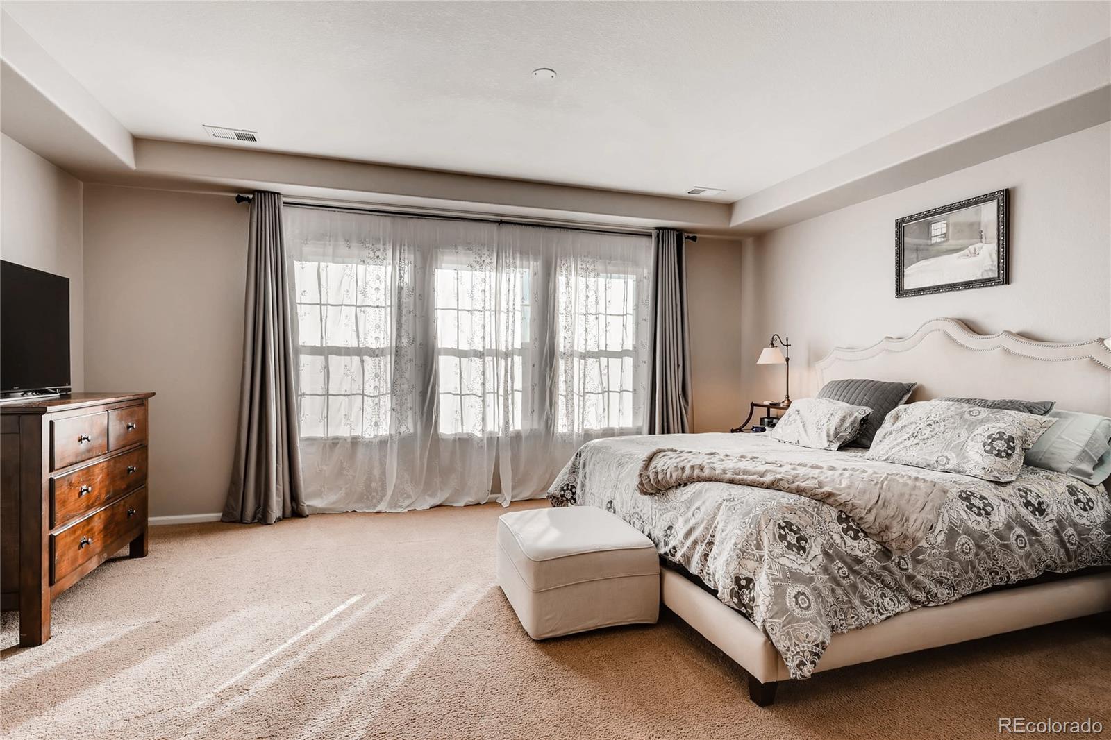 10480 Skyreach Road Highlands Ranch, CO 80126 - Photo 13 of 32