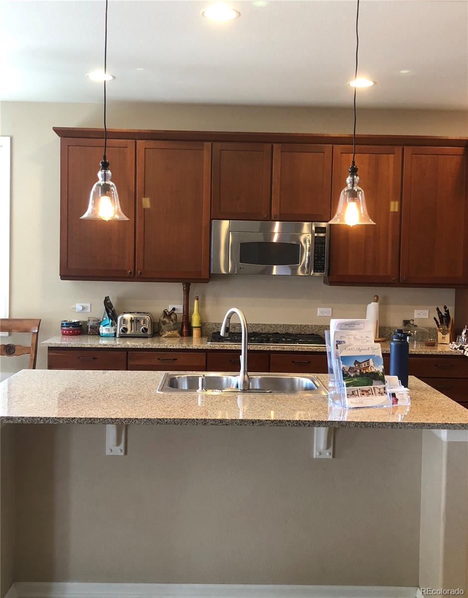 10480 Skyreach Road Highlands Ranch, CO 80126 - Photo 3 of 32