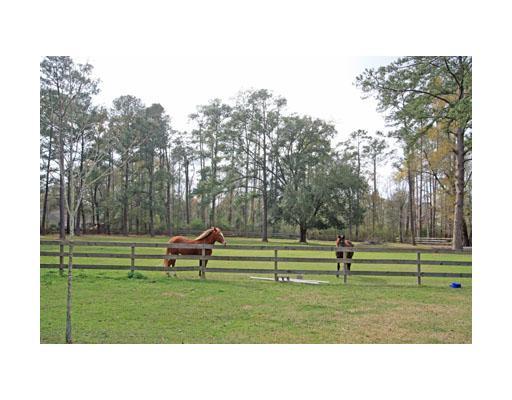 125 Rucker Road Mandeville, LA 70471 - Photo 24 of 25