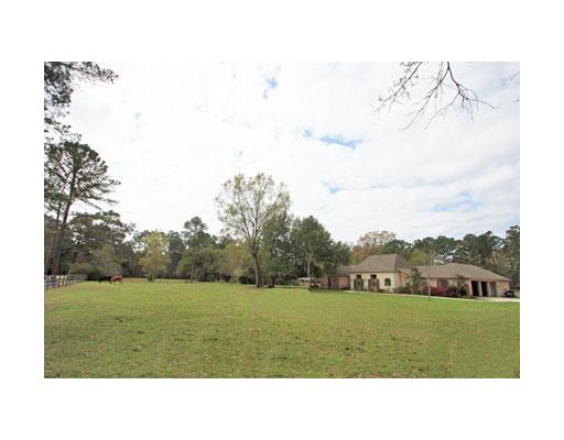125 Rucker Road Mandeville, LA 70471 - Photo 3 of 25