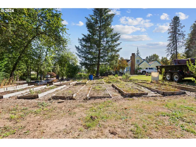 a view of a yard with large trees