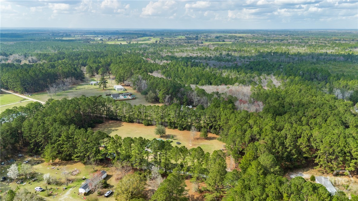 614 Pleasant Hill Church Road Ellabell, GA 31308 - Photo 53 of 57