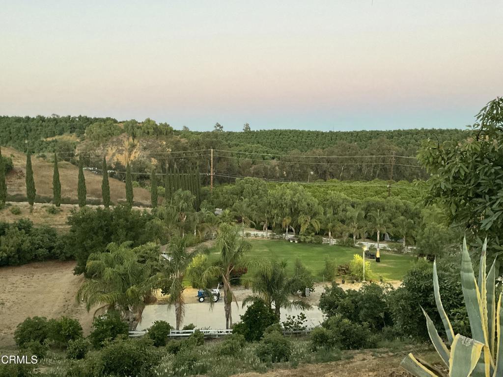 7907 Balcom Canyon Road Somis, CA 93066 - Photo 14 of 32 IMG_0863