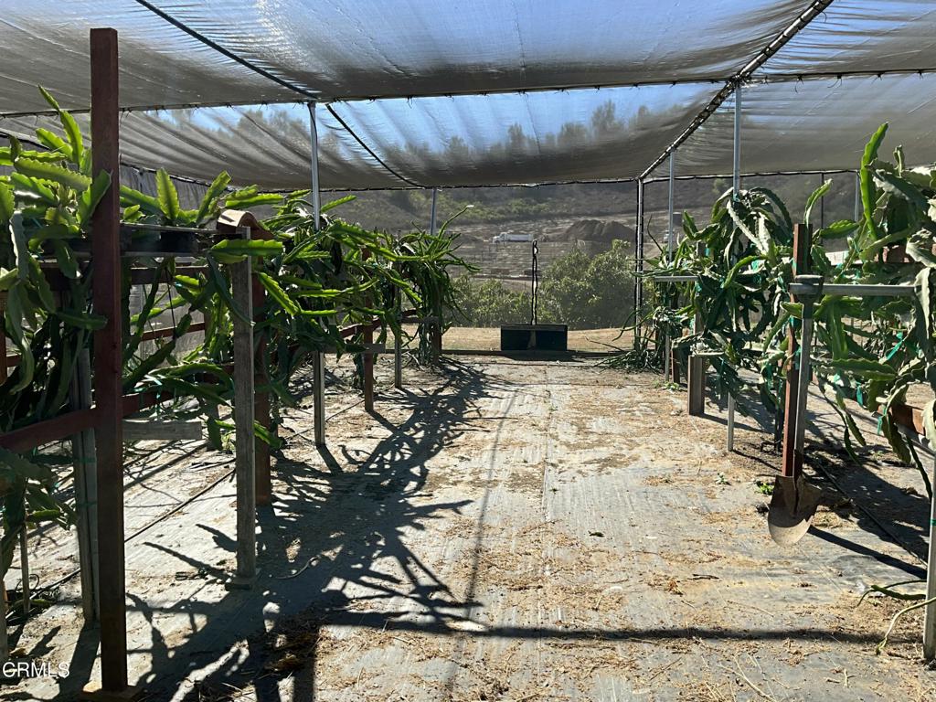 7907 Balcom Canyon Road Somis, CA 93066 - Photo 16 of 32 IMG_1383