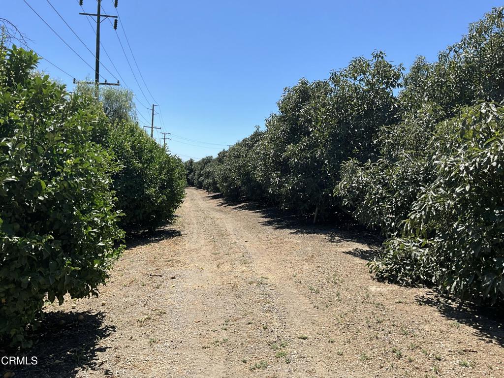 7907 Balcom Canyon Road Somis, CA 93066 - Photo 18 of 32 IMG_1377