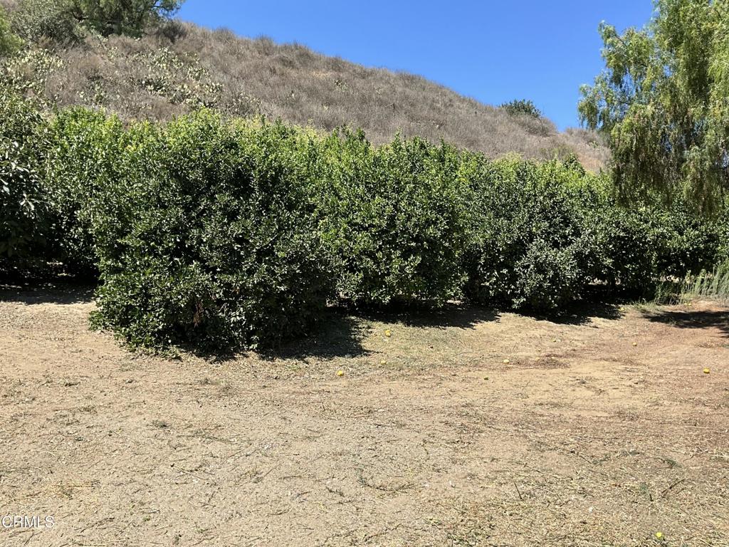 7907 Balcom Canyon Road Somis, CA 93066 - Photo 19 of 32 IMG_1376