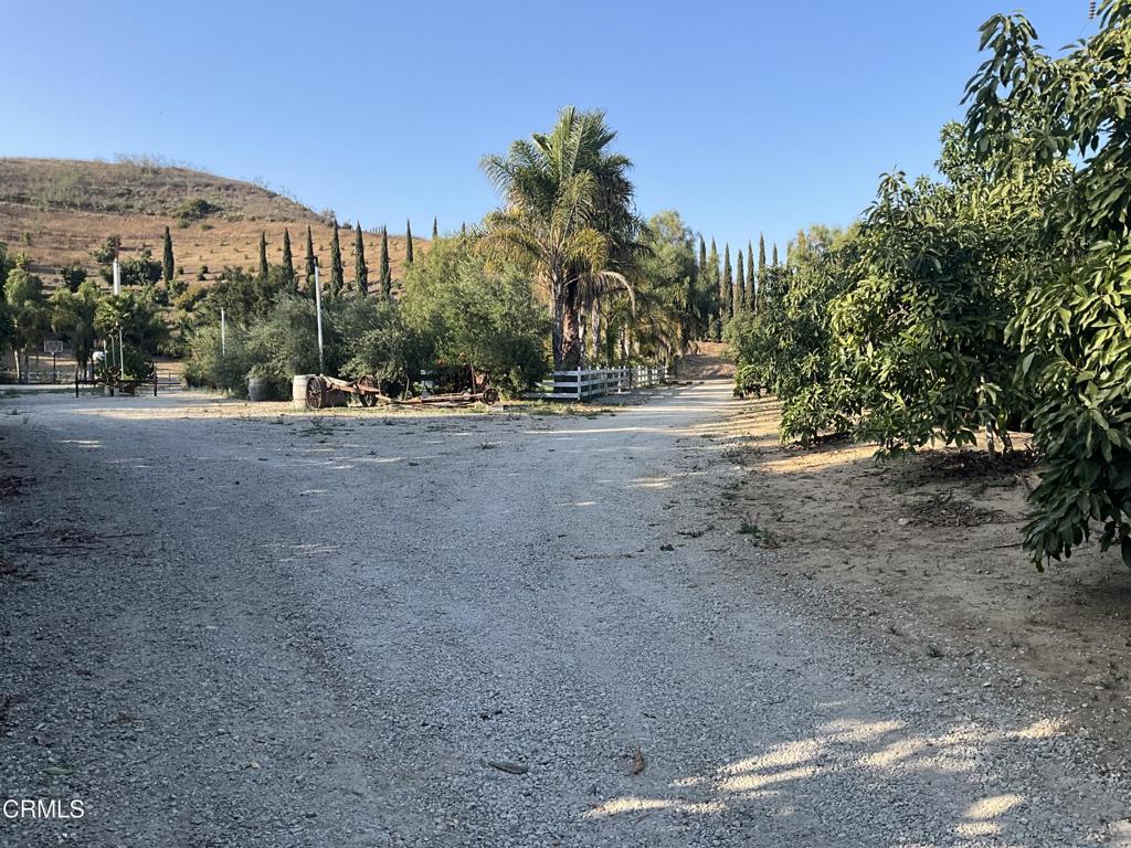 7907 Balcom Canyon Road Somis, CA 93066 - Photo 20 of 32 IMG_0748
